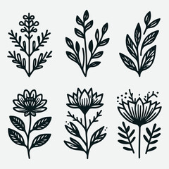 Hand-Drawn Botanical Flower Line Art Illustrations Nature Design Set, Botanical Line Art Flower Illustrations Set