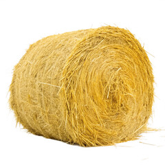 A Large Round Bale of Golden Hay or Straw in a Field