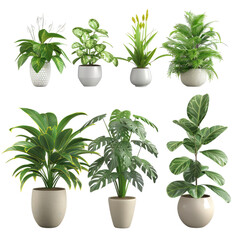 Set of Houseplants no background