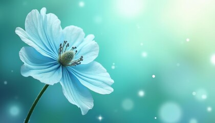 The tranquil blooming of a blue flower