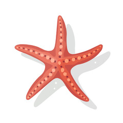Starfish icon set in flat style, marine life vector.