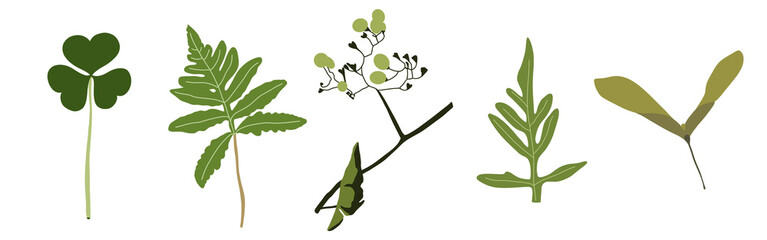 Green nature set on a white background. Hand-drawn illustration. Perfect for spring and summer.	