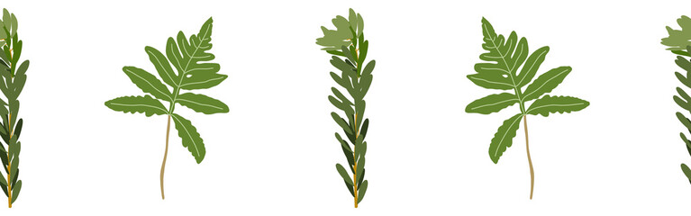  Leaves border on a white background. Hand-drawn illustration. Perfect for spring and summer.