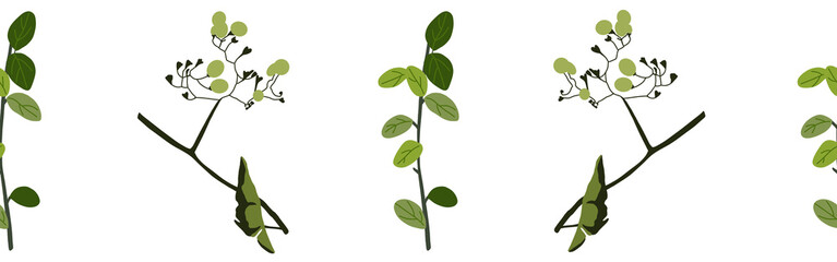  Leaves border on a white background. Hand-drawn illustration. Perfect for spring and summer.