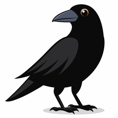 Cartoon illustration of a black crow standing on a white background looking to the left