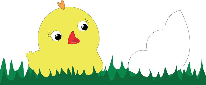 cute chicken in grass