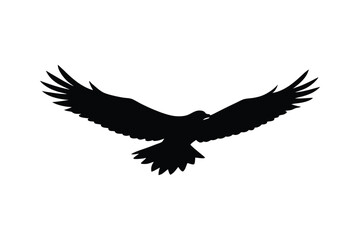 Silhouette of an eagle in flight with its wings spread wide vector illustration.eps