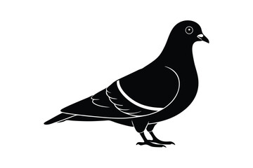Silhouette of a pigeon standing on the ground vector illustration.eps