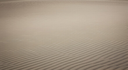 Obraz premium Subtle sandy texture with soft wave patterns, ideal for background design applications