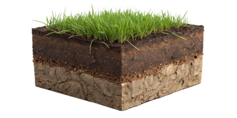 Cross Section of Soil Layers with Grass Showing Topsoil Subsoil and Bedrock