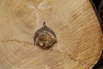 Symbol auf Holz