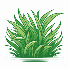 Trawa ilustracja