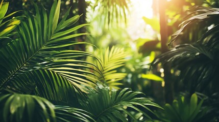 Obraz premium Lush Tropical Forest with Sunlight Filtering Through Green Leaves and Vibrant Foliage Creating a Serene and Tranquil Nature Scene in a Dense Jungle Setting