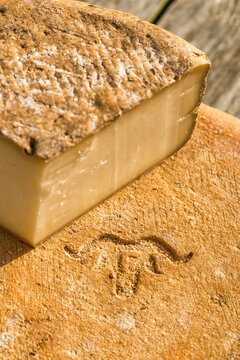 Close-up of Ossau-Iraty cheese logo at a delicious cheese wheel