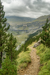 Fototapeta premium Hiking through Ordesa Valley in Monte Perdido National Park, Spanish Pyrenees.