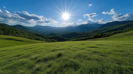 Fototapeta premium Lush green meadow stretching to mountain range under a vibrant blue sky. Sunlight highlights the scene