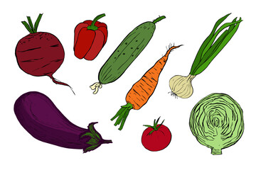 Colored vegetables doodle set, hand drawn illustrations isolated on white background. Harvesting, vegetarianism.