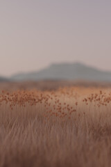 3D Surreal Landscape at sunset