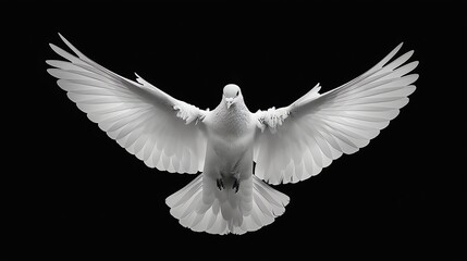 A beautiful white dove soars through the air with its wings outstretched. The dove is a symbol of peace and hope.