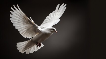 Obraz premium A beautiful white dove is flying in the sky. The dove has its wings spread wide and is flying towards the viewer.