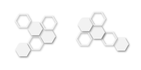 Fototapeta premium Abstract white and grey hexagon technology geometric pattern concept white background. Use for template, wallpaper, website vector illustration.