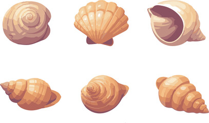 set of seashells