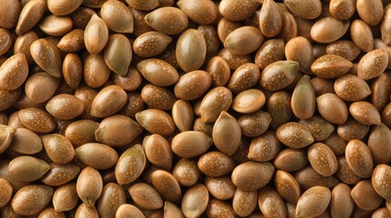 Close-up of assorted brown seeds on a textured surface