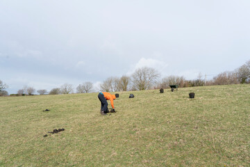 Woman wearing an orange top working in a green grass paddock collecting buckets of horse poo.