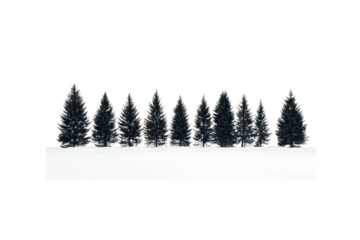 A minimalist forest scene where the dark green straight trees stand tall and perfectly aligned in a blanket of snow. The white background emphasizes the silhouette of each tree