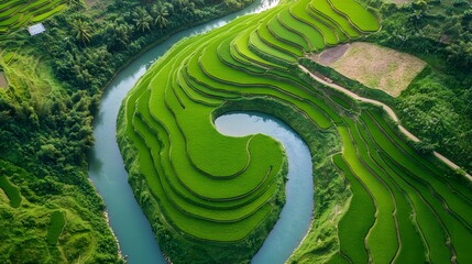 A drone shot capturing rice terraces winding around a river, creating a perfect yin-yang shape