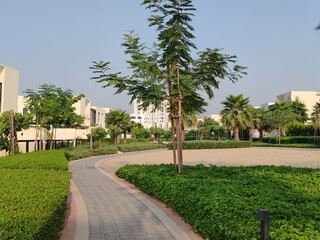 Fototapeta premium Small Interlock Path Between Landscaping Area. Green And Lush Landscaping Area With Carpet Grass And Trees Like Palm Or Washingtonia, Some Houses Or Villa's Also Beside Gardens Padestrian Pathway.