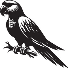 parrot sihouette collection