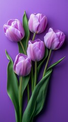 A bouquet of purple tulips with green leaves. The flowers are arranged in a way that they are all facing the same direction. The purple color of the flowers
