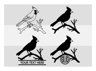 Cardinal, Cardinal Silhouette, Bird, Red Cardinal, Cardinal Png, Red Birds Meaning, Red Bird, Vector, Cricut, Cut Files,
Cardinal Images, Cardinal Png, Clipart, Cardinal Vector, silhouette
