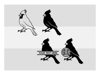 Fototapeta premium Cardinal, Cardinal Silhouette, Bird, Red Cardinal, Cardinal Png, Red Birds Meaning, Red Bird, Vector, Cricut, Cut Files, Cardinal Images, Cardinal Png, Clipart, Cardinal Vector, silhouette