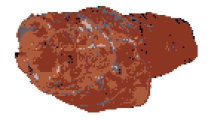 Smoked meat pixel art