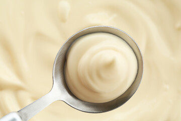 Spoon with delicious mayonnaise sauce, top view