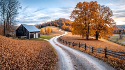 Autumnal Country Road