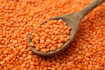 Raw red lentils and spoon as background, closeup view