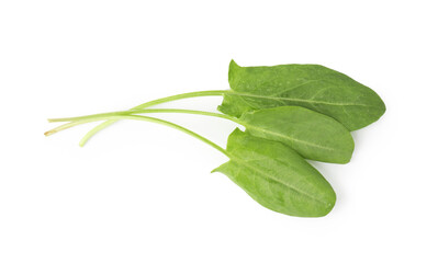Obraz premium Fresh green sorrel leaves isolated on white, top view