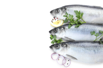 Salted herrings and spices on white background, above view
