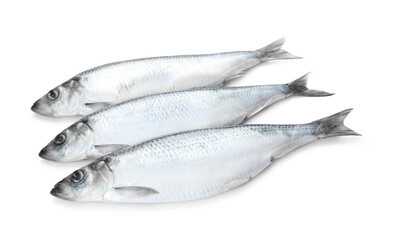 Three whole salted herrings on white background