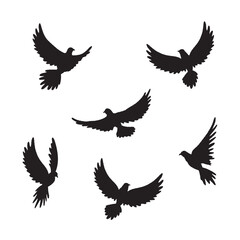 Set of dove pigeon flying silhouette black and white symbol of freedom hope faith peace love
