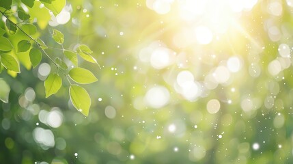 Obraz premium Sunlit green leaves shimmering in a lush environment