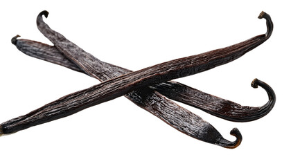 Vanilla bean Isolated On PNG Transparent and White Background 