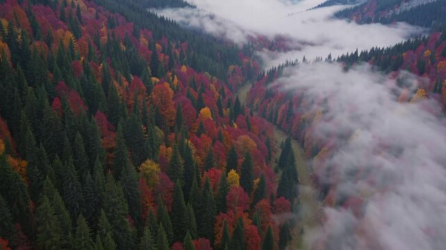 Aerial journey through misty autumn forests with vibrant foliage and rolling clouds