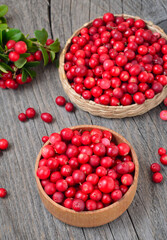 Ripe cowberry in wooden bowl