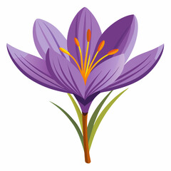 Fototapeta premium Saffron white background 