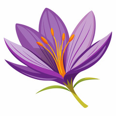 Saffron white background 