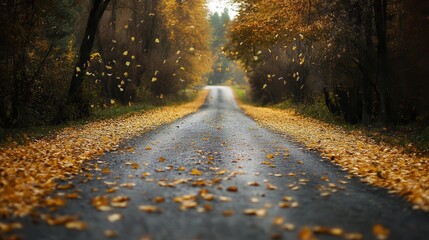 Obraz premium Golden leaves gently falling on an empty countryside road, autumn tones, minimal scenery, poetic and cinematic